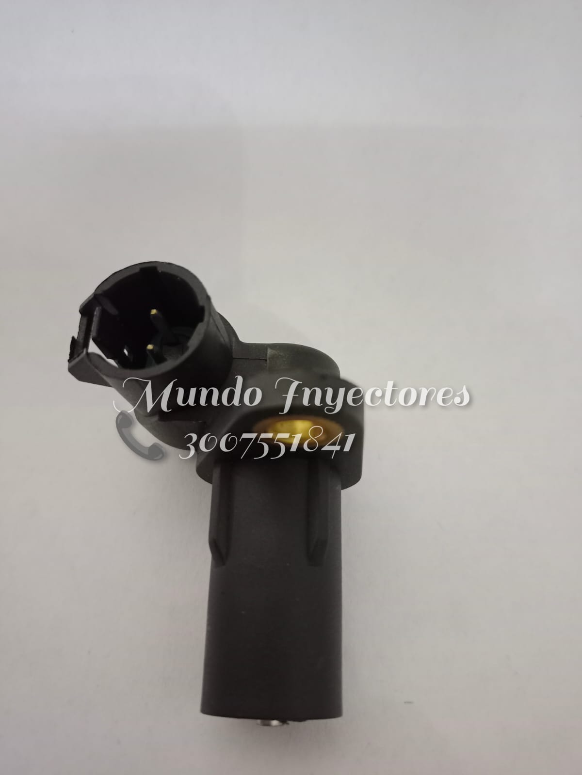 Sensor posicion cigueñal o CKP Renault Megane II.